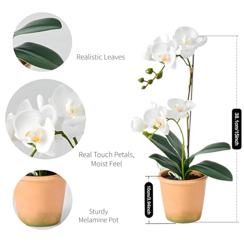 Avoeco Artificial Real Touch Orchid Plant – 15" Faux Phalaenopsis in Pot – Highly Realistic Silk Orchid Flower & Leaf Texture for Home, Office,Shop & Wedding Décor (1 White, 15“) - color: 1 White, size: 15“