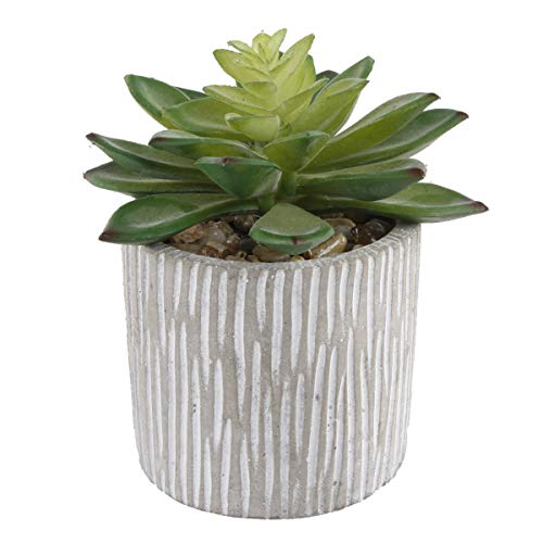 Flora Bunda Mid Century Artificial Plants Cactus Set of 2 Artificial Succulent in 3" Cement Pot Grey Planter, 2 Fake Potted Plants, for Home Office Decorations