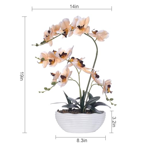 19" H Phalaenopsis Faux Orchid Plant Silk Orchid Centerpiece Artificial Floral Arrangement in Ceramic Pot (Champagne) - color: Champagne