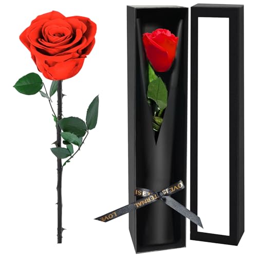 Single Forever Roses in a Box,Preserved Flowers for Delivery,Preserved Rose Gifts for Women, Real Roses Gift for Her, Mom Birthday Gifts, Mothers Day Flowers,Valentines Flowers,Presents for Her,Red - color: Red-window
