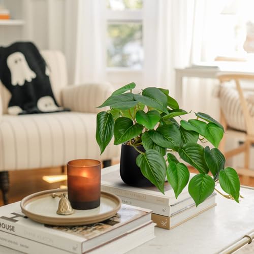 DILATATA Fake Plants Indoor 8 Inch Artificial Pothos Plant in Black Ceramic Pot - Faux Potted Pothos Plant for Home Aesthetic Decor Living Room Shelf Office - color: Pothos #Ceramic