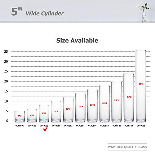 WGV Cylinder Vase, Diameter 5", Height 8", Clear Glass Floral Planter Container, Floating Candle Holder for Wedding Party Event Home Office Decor, 1 Piece - size: 5"x8"H CL