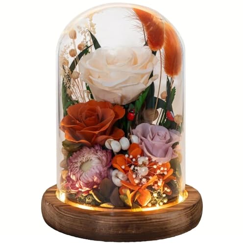 Forever Flower Gifts for Her:Perfect Graduation Flowers for Daughter Wife Mom-Preserved Flower with Symbolic Ladybugs–Flowers for Delivery Prime on Anniversary Valentines Birthday (Orange) - color: Orange2