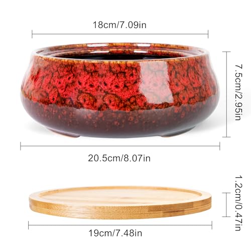 ARTKETTY Succulent Pots - 8 Inch Plant Pot, Large Bonsai Pots with Drainage Tray, Ceramic Planters for Indoor Outdoor Plants, Round Shallow Cactus Flower Plant Container Bowl Decorative Home Garden - color: Red