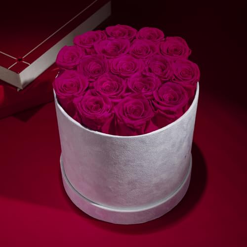 Prifroti 17 Flowers in a Luxury Suede Box, Birthday Gifts for Women, Preserved Flowers, Mothers Day Roses Gift for Mom, Hot Pink - color: Hot Pink, size: 17 Roses