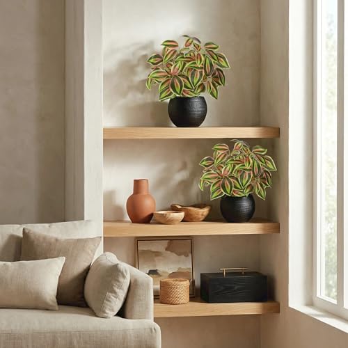 2 Packs Artificial Plants in Black Pot, 12" Faux Plant | Realistic Tradescantia Zebrina Fake Plants Potted Decorative for Home Kitchen Office Desk Bookshelf Decor - color: Pink-green