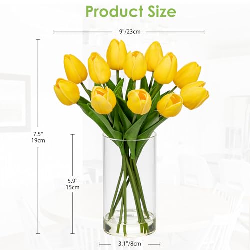 DILATATA 12 Pcs Artificial Real Touch Tulips Flowers in Glass Vase with Faux Water, Tulips Fake Arrangements Yellow Tulips with Vase for Dining Table Home Decor Wedding Centerpieces - color: Cylindrical Vase/Yellow/1 Set
