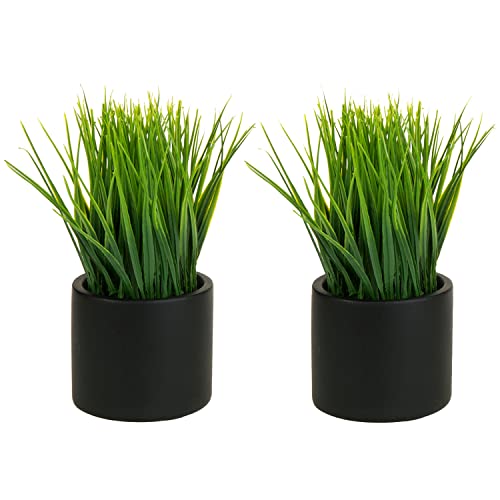 MyGift Tabletop Artificial Grass Plants Decorative Faux Greenery Plant Potted in Modern Cylindrical Black Cement Pots, Set of 2 - color: Black (Round)