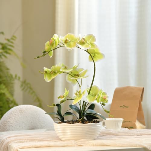 19" H Phalaenopsis Faux Orchid Plant Silk Orchid Centerpiece Artificial Floral Arrangement in Ceramic Pot (Apple Green) - color: Apple Green
