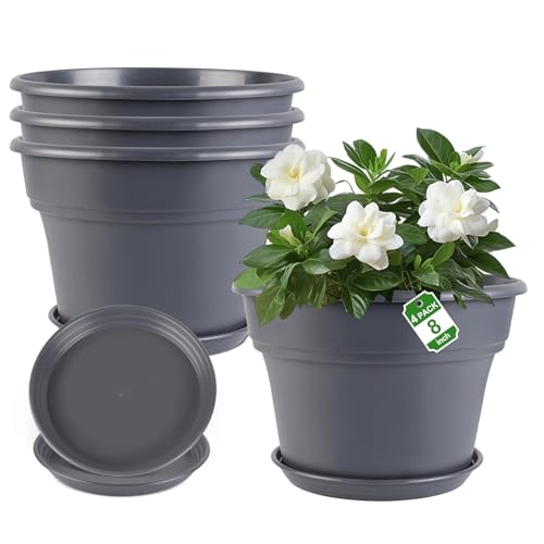 Myfeegoin 8-inch-Plant-Pots-Indoor-Outdoor, 4 Pack Plastic Planters with Drainage Holes & Saucers, Resin Flower Pots with Trays, Classic Garden Pot Container for House - color: Gray, size: 8inch