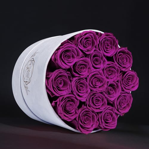 Prifroti 17 Flowers in a Luxury Suede Box, Birthday Gifts for Women, Preserved Flowers, Mothers Day Roses Gift for Mom, Bossy Pink - color: Bossy Pink, size: 17 Roses