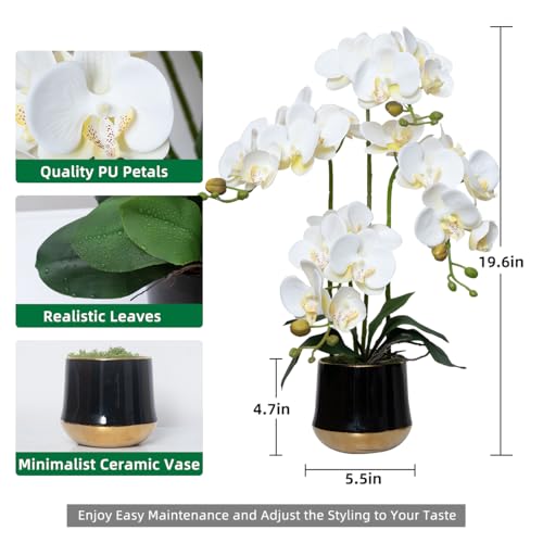 Artificial Orchid Flowers in Ceramic Vase Realistic White Faux Orchids 19.5 Inch Fake Phalaenopsis Plant Arrangements for Home Indoor Centerpiece Decor (Set of 4 Stems) - color: White, size: 14CM- BlackGolden