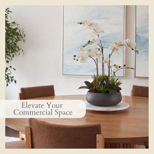 CG Hunter Faux Orchid Plant w/Succulents, Premium Artificial Indoor Flower Display Stands 24” w/Beautiful Sculptural Blooms and Succulents That Lasts Forever, Grey Planter Pot Included - size: 24" White Orchid With Succulents