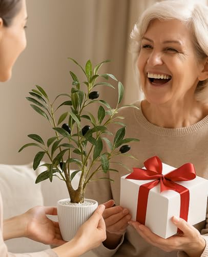 AceList Faux Olive Tree, 16.9 Inches Small Fake Olive Trees with White Pot, Realistic Fake Tree Potted Plant and Lifelike Fruits for Home Room Modern Farmhouse Decor - color: Olive