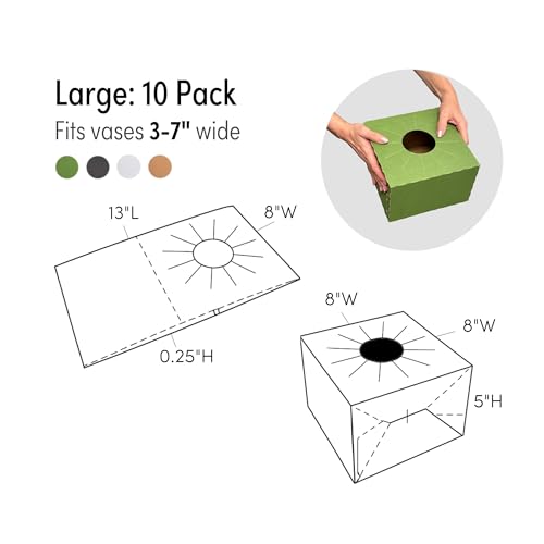 Holiday Designs - Pop-Up Florist Delivery Box, Heavy Duty Corrugated Cardboard Vase Boxes for Secure Floral Arrangements During Transport, 8 x 8 x 5 (Green, Large: 10 Pack) - color: Green, size: Large: 10 Pack