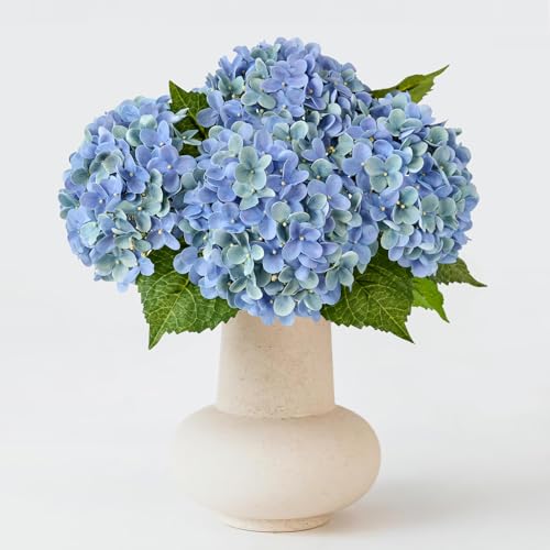 ZYTUYO 20 inches 4 Pcs Blue Green Real Touch Hydrangea Artificial Flowers Boho Lifelike Real Looking Latex Hydrangeas Flower with Long Stem for Home Decor Spring Table Centrepiece - color: Blue Green