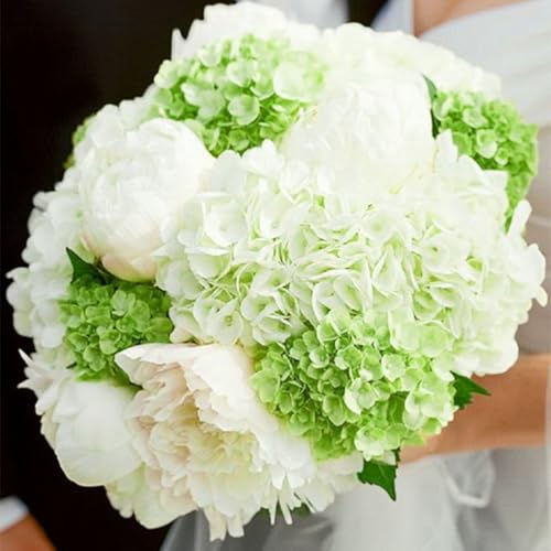 Coferset 3pcs Green Lifelike Hydrangea Artificial Flowers 22inch Real Touch Faux Hydrangea Flower Stem for Home Party Wedding Floral Filler Arrangements Ceterpieces Bouquets - color: Green, size: 3pcs