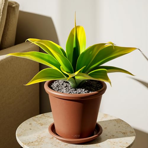 Ttranewsoo Artificial Agave Plants,Large UV Resistant Fake Agave Planters 12" for Indoor and Outdoor Decorating Tropical Plant Succulents Greenery Indoor Decor (2Pack) Yellow - color: Agave12-ye2