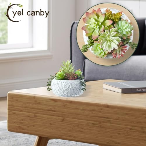 6 Inch Artificial Succulent Plant in White Ceramic Pot - Realistic Fake Succulent for Home Office Desk Bathroom Decor Coffee Table Decor - color: White, size: 6inch