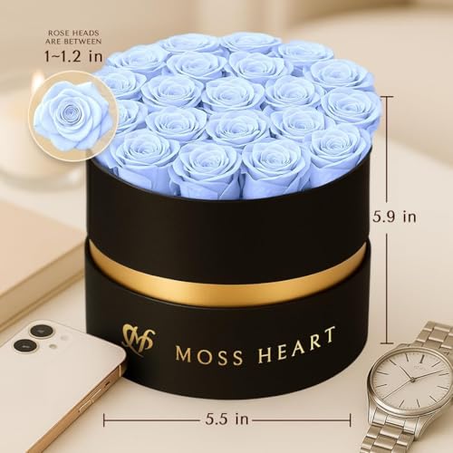 20 Mini Preserved Roses, Round Luxury Gift Box, Real Forever Roses Last 1+ Year, Premium Romantic Gift for Women, Wife, Girlfriend, Mother’s Day, Birthday, Anniversary, Valentine’s Day - color: Light Blue, size: 20 Roses