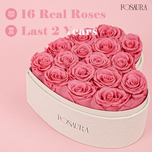 Rosaura Heart-Shaped Preserved Roses Gift Box - Real Forever Flowers for Christmas, Birthday, Valentine's & Mother's Day (Pink, 16 roses) - color: Pink, size: 16 roses