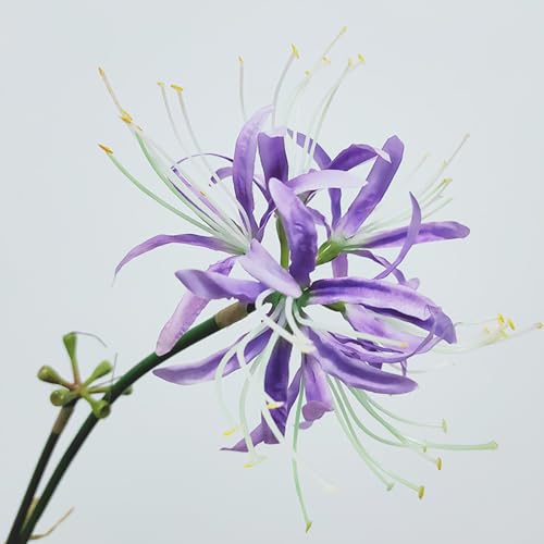 6 Sets 67 CM Lycoris Radiata Artificial Spider Lily Flowers Stonegarlic Clusteramaryllis for Home Garden Wedding Party Decor (Purple) - color: Purple