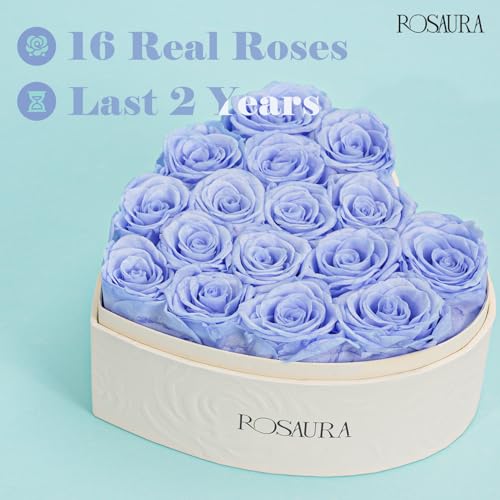 Rosaura Heart-Shaped Preserved Roses Gift Box - Real Forever Flowers for Christmas, Birthday, Valentine's & Mother's Day (Sky Blue, 16 roses) - color: Sky Blue, size: 16 roses