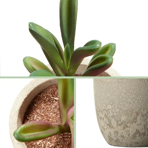 Artificial Succulent Plants in Pots, Set of 5 Mini Fake Succulents for Indoor Home Decor, Small Faux Potted Greenery for Office Desk, Shelf, Bathroom, or Modern Boho Rustic Room Decoration