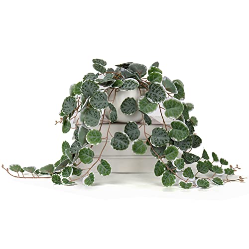 Briful Fake Plants Indoor 16'' Artificial String of Hearts Plants with Ceramic Pot Faux Draping Vine Plants for Home Bathroom Table Shelf Office Hotel Decor - color: Green