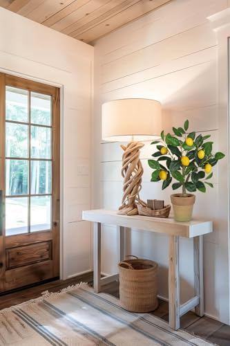 Oairse Artificial Potted Plants 19.7 inches Small Fake Lemon Tree Artificial Lemons Citrus Tree with Terracotta Pot Faux Plants Indoor Lemon Decorations for Home,Office, Living Room Table, Desk - style: Terracotta Pot