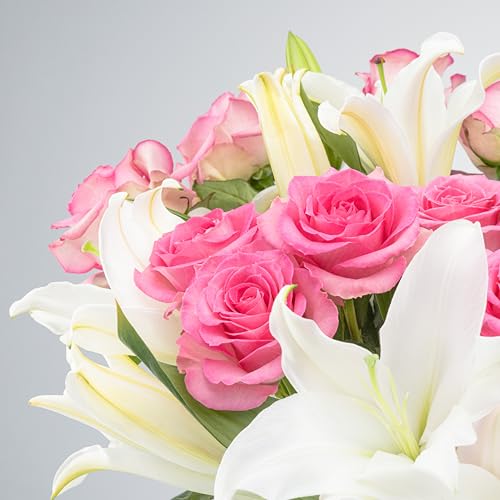 Benchmark Bouquets Oriental Lily & Pink Rose Bouquet – Real Fresh Flowers for Delivery – Mothers Day Flowers for Mom – Long Stem Roses Fragrant Lilies – Gifts for Mom & Mother-in-Law – Vase Included - color: Pink