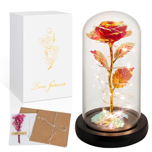 Childom Mothers Day Mom Gifts for Mom,Birthday Gifts for Women Moms Grandma,Flowers for Delivery Prime,Red Light Up Rose in A Glass Dome,Anniversary Valentines Roses Gift for Her Wife Daughter - color: Red Large