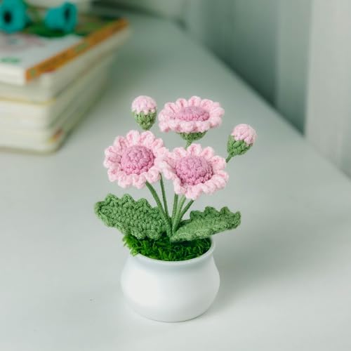 Joekaran Crochet Flowers Cute Little Potted Flower, Birthday Gifts for Women, Mother's Day, Teacher’s Day, Graduation, Anniversary, Desk Decor, Home Office Decoration (Rose red Daisy) - color: Rose Red Daisy