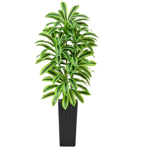 Artificial Dracaena Tree：7FT Faux Silk Tropical Yucca Floor Trees Realistic Fake Green Plant with Natural Wood Trunk & Lifelike Leaves for Home Office Decor Indoor & Outdoor (7FT,1-Pack,Black) - color: Light Green – Black Pot, size: 7FT