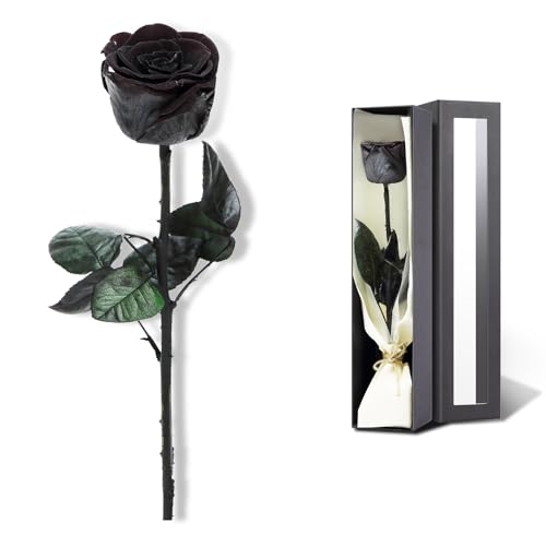 Preserved Rose, Preserved Flowers for Delivery Prime, Single Rose Flower Gifts for Women, Real Rose Presents for Her, Birthday Gifts, Valentines Flowers for Girlfriend - Black - color: 02-black