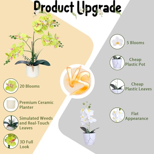 ucky Apple Green 15.7" 3D Lifelike Artificial Orchid Plant with 20 Heads, Realistic Faux Phalaenopsis in Ceramic Pot for Home Decor, Elegant Fake Flower Arrangement Table Centerpiece - color: Apple Green