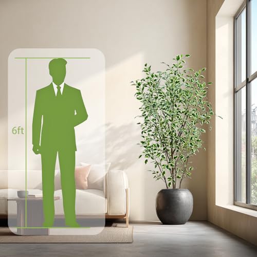6ft Artificial Ficus Tree with White Plastic Planter | Foliage: Designed with natural green and white variegated leaves for lifelike indoor landscape decoration - color: White, size: 6ft