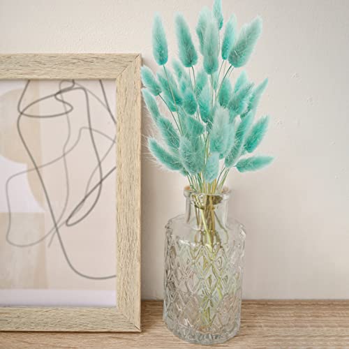 Uieke 50 Pcs Bunny Tails Dried Flowers, 17’’ Dried Lagurus Ovatus, Dried Foxtail Grass for Flower Arrangements Wedding Centerpieces Home Boho Baby Shower Party Decorations (Teal Blue) - color: Teal Blue-50pcs