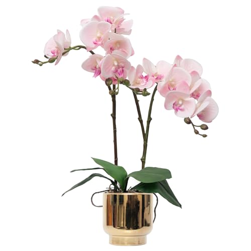 CXGS Orchids Artificial Flowers Real Touch Fake Flowers in Ceramic Pot 20" Pink Faux Orchid Plant Lifelike Silk Phalaenopsis for Centerpiece Hotel Home Indoor Decor - color: Pink- Gold Vase