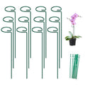 FEED GARDEN 16 Inch 12 Pack Plant Support Stakes, Metal Garden Flower Stakes and Supports for Outdoor Plants, Plant Stem Support with 24 Twist Ties for Amaryllis Lily Rose Peony Tomatoes Gladiolus - size: 16 Inch