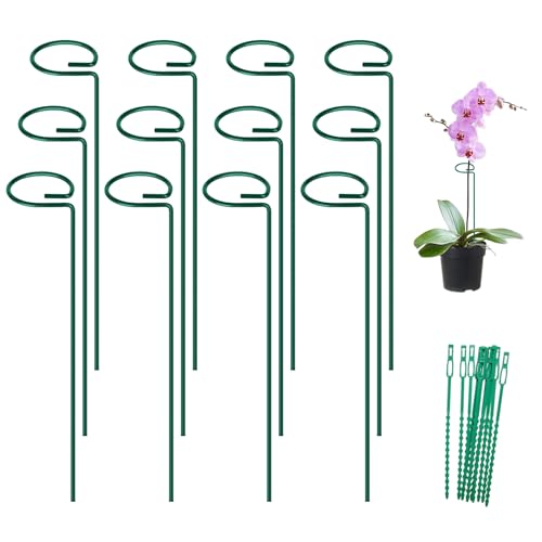 FEED GARDEN 16 Inch 12 Pack Plant Support Stakes, Metal Garden Flower Stakes and Supports for Outdoor Plants, Plant Stem Support with 24 Twist Ties for Amaryllis Lily Rose Peony Tomatoes Gladiolus - size: 16 Inch