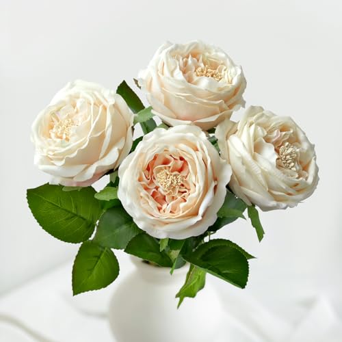 YalzoneMet 3.5'' Big Bloom Champagne Rose Artificial Flowers 4Pcs Real Touch Rose Faux 17.7Inch Long Stem Austen Roses Peonies Fake Flowers for Boho Home Kitchen Party Spring Flower Wedding Decor - color: Champagne