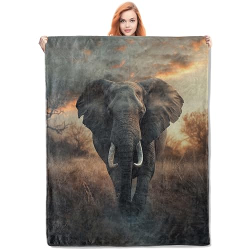 Elephant Fleece Blanket, Realistic Wildlife Scene, Soft Elephant Throw 60x80 inches, Perfect for Nature Lovers - Earth Tones - color: Color449, size: 60"x80"
