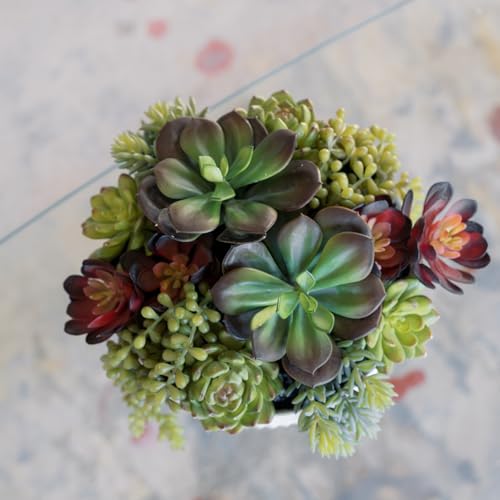 Round Faux Succulent Arrangement, 12" Premium Artificial Indoor Plant Enhances Interior Design, Display on any Surface in Your Home Adding an Inviting Touch of Nature, White Planter Pot Included - size: 12" Round White Planter