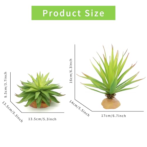 JIHAQUA Reptile Terrarium Decor 2-Piece Realistic Succulent Set,Lifelike Plastic Plants for Geckos, Bearded Dragons,Snakes,Turtles,Lizards,Insects Reptile Habitats - color: Green