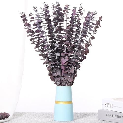20 Pcs Dried Eucalyptus Stems, 17'' Natural Real Live Purple Eucalyptus Leaves Branches Hanging Shower, Preserved Dried Plants for SPA Home Fragrance Bathroom Table Vase Decor - color: Purple