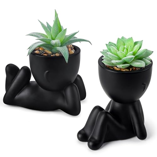 Der Rose 2 Pack Fake Plants Succulent Plants Artificial for Home Bathroom Living Room Office Decor - color: Black