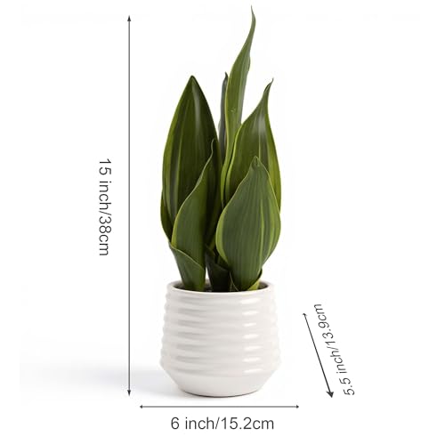 Artificial Snake Plant Potted, 15" Faux Plant, Suitable for Home Office Living Room Window Sill Indoor Decor Housewarming Gifts - color: White