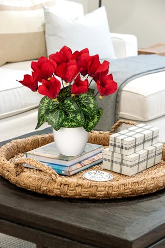 Hollyone Artificial Cyclamen Flowers Plant Potted Fake Silk Flower Plants in White Pot Faux Red Cyclamen Flowers Arrangement Home Decor Office Bathroom Shelf Desk Decorations - color: Red, size: Cyclamen Flowers