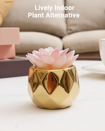 VIVERIE Mini Succulents Plants Artificial in Pots-Pink Succulents with Golden Ceramic, Small Fake Succulents for Home Decor Indoor for Women, White Ceramic Faux Succulents, Gifts for Mom-1 Pack - color: Golden-1 Pack